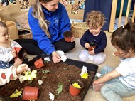 Planting Seeds (1)