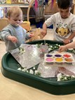 Flower Mirror Painting