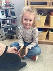 Duck Arrival