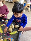 Supertato Friends!