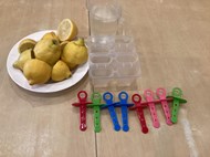 Ice Lollies