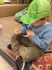 Investigating fossils and crystals