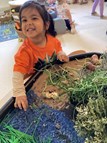 Bear Hunt Sensory Tray