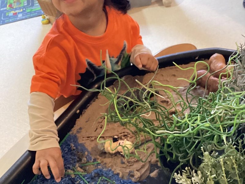 Bear Hunt Sensory Tray