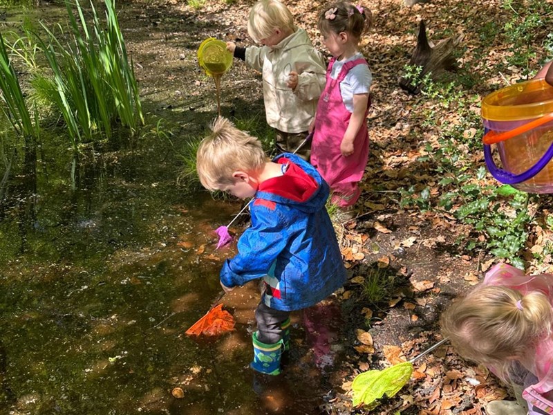Pond Dipping (2)