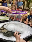 Crazy Bubbles!