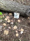 Bug Hotel (1)