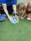 Butterfly Catchers