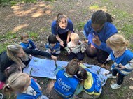 Natural Brushes and Mud Art