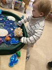 Under the Sea (2)