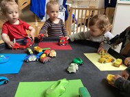 Fine Motor Sorting
