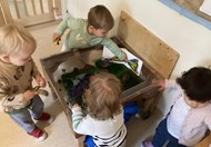 The Very Hungry Caterpillar (2)