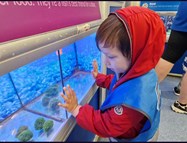 Pet Shop Visit (1)