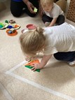Shape Matching & Sorting Fun!