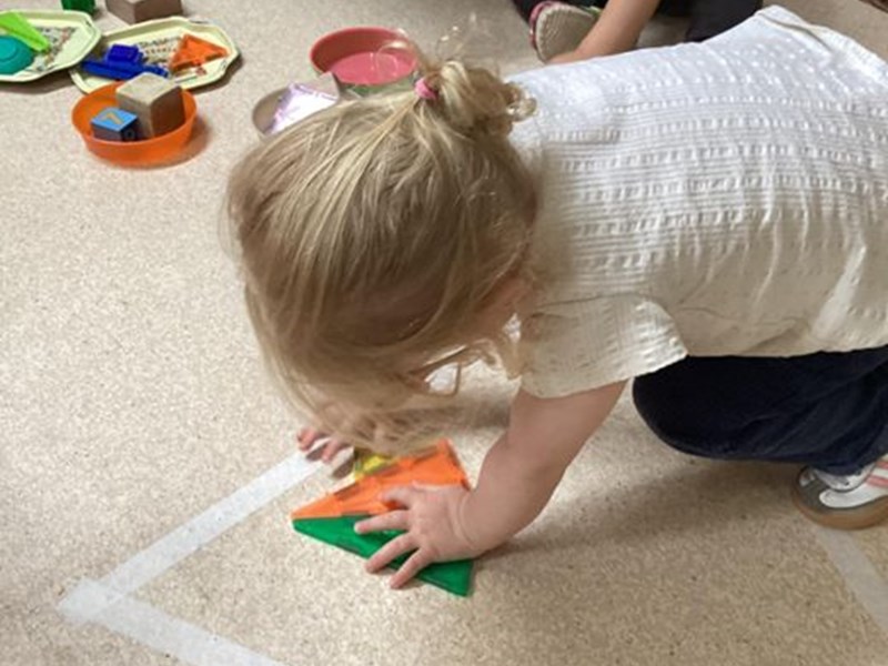 Shape Matching & Sorting Fun!