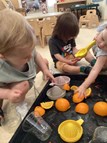 Orange Juicing