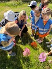 Butterfly Hunt
