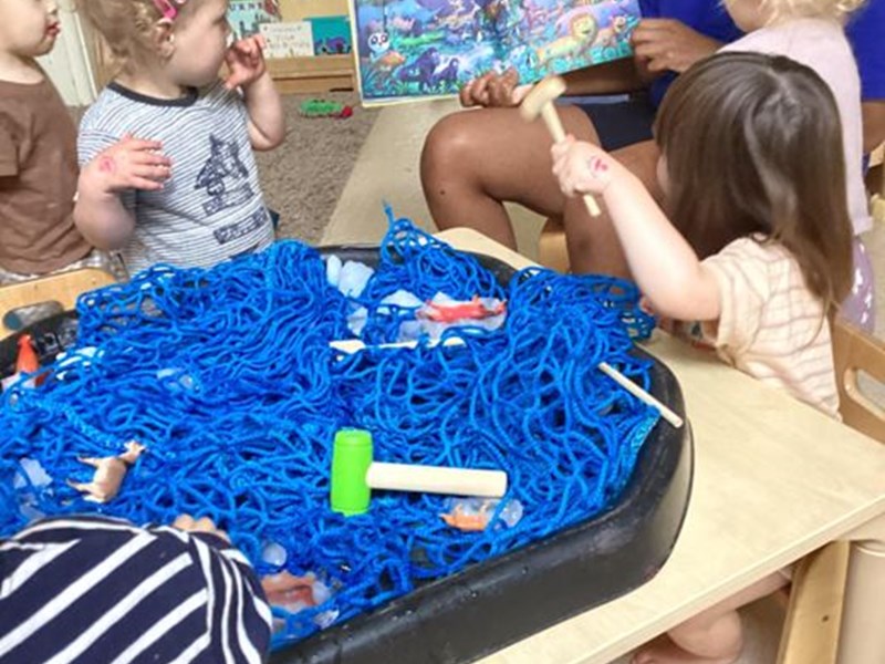 Sensory Table Animal Rescue Play