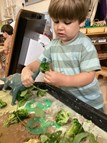 Our prehistoric counting adventures!