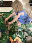 Dinosaur Children's Interest