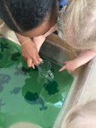 Under the Sea Adventure