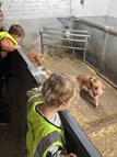 Farm Visit