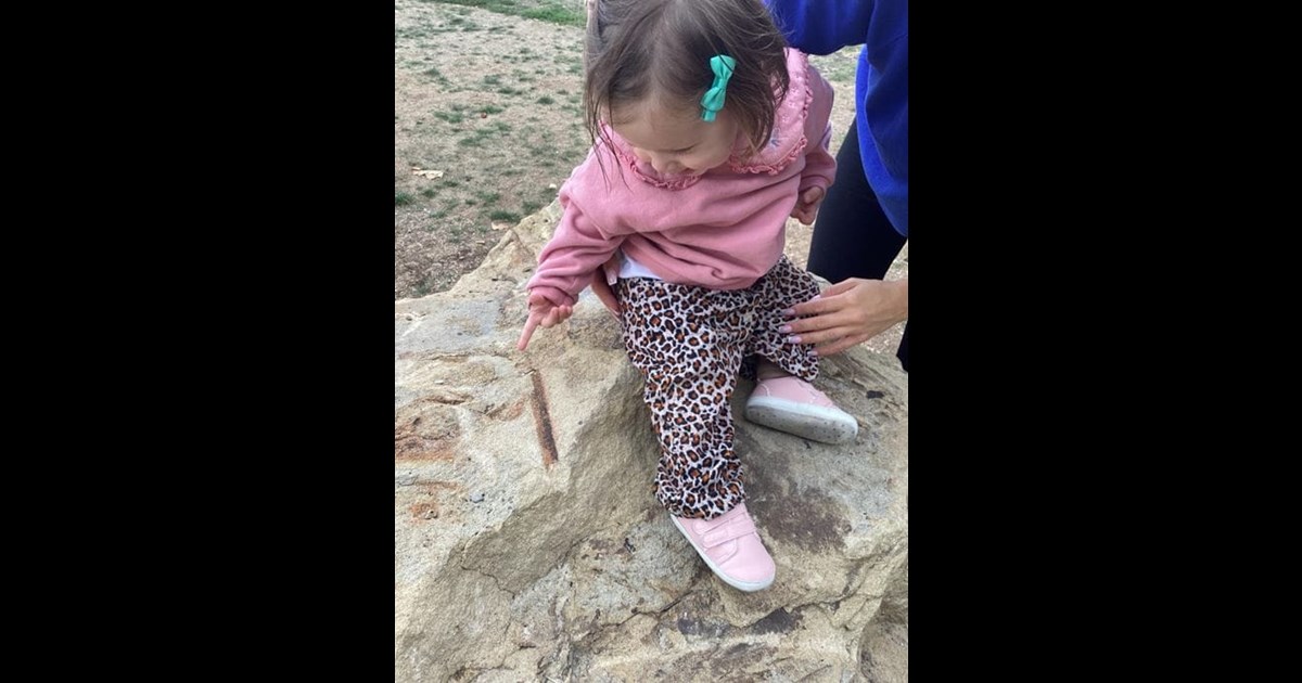 A Nature Walk
