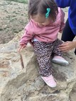 A Nature Walk