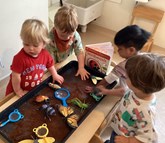 Mini Beasts