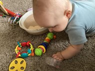 Free Play (1)