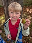 Conker Picking