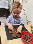 Natural Butterflies