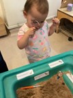 Dinosaur Salt Dough Dig