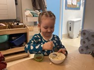 Gingerbread Cheesecakes