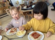 Butterflies Year in Action