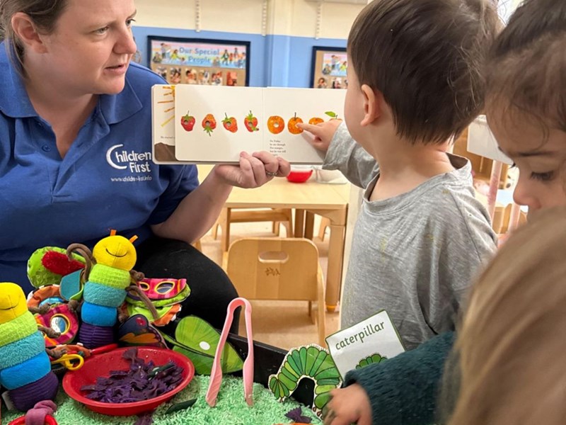 Life Cycle of a Caterpillar
