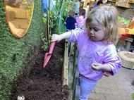 Fruit Planting