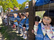 Stars Class Went to the Farm