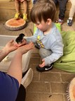 Life Cycle of a Chick (3)