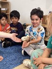 Week Two Of the Chicks