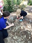 Annual Bug Hunt