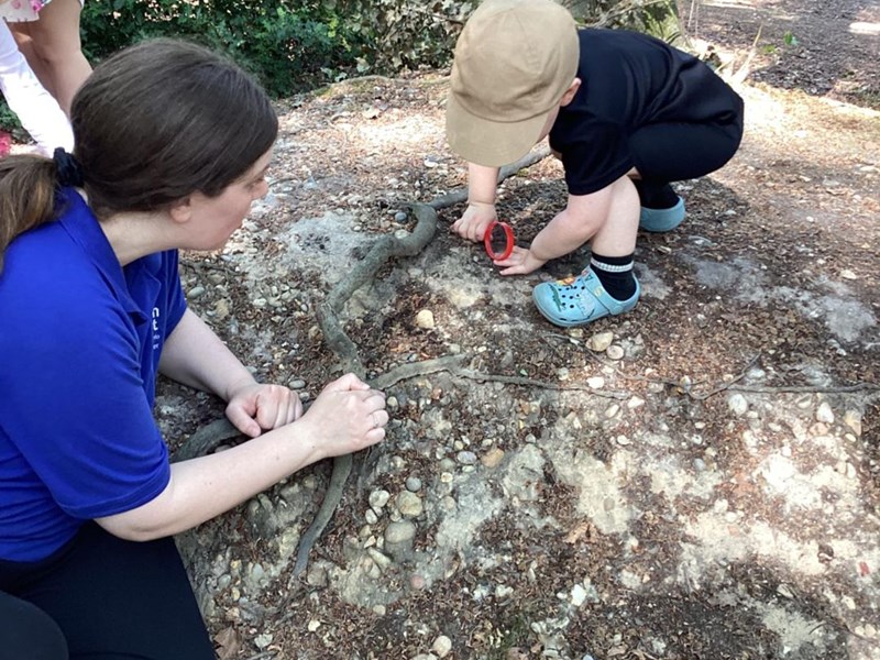 Annual Bug Hunt