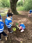 Foraging in the forest