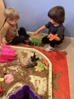 Beach Tray