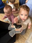 Chicks Hatching Experience