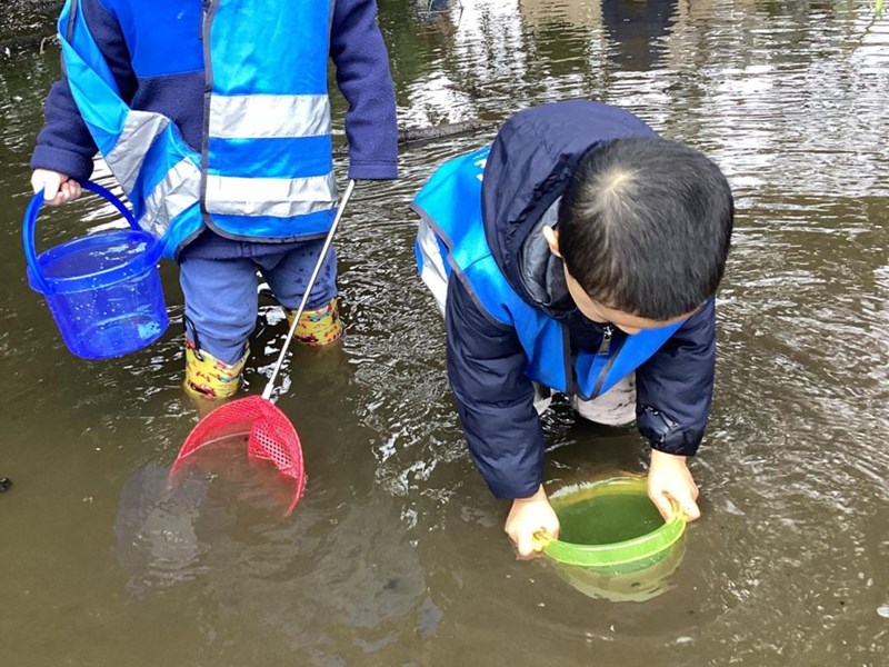 Pond Dipping (3)