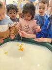 Magic Milk Experiment