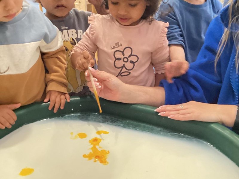 Magic Milk Experiment