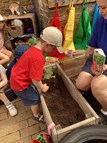 Planting Peas