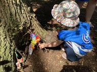 Fairy Houses